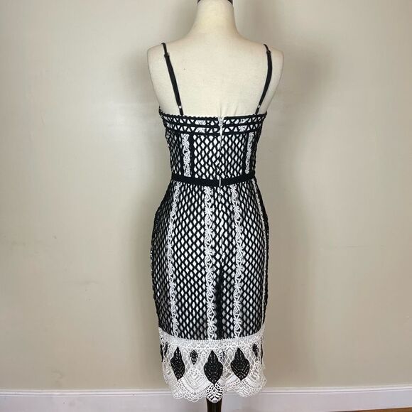 Harlyn Sheath Lace Midi Dress - Picture 4 of 6